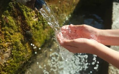 La Frugalità aiuta a far crescere il seme della Generosità