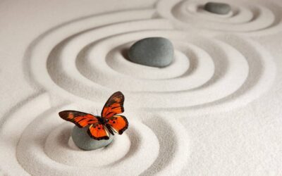 La Meditazione come Educazione alla Vita Interiore
