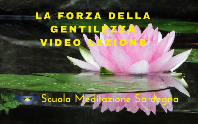 10 Video lezioni di Meditazione, guidate da Padre Davide Magni – Direttore Scuola Meditazione Sardegna
