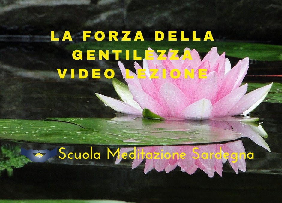 10 Video lezioni di Meditazione, guidate da Padre Davide Magni – Direttore Scuola Meditazione Sardegna