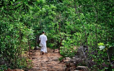 Meditare in cammino