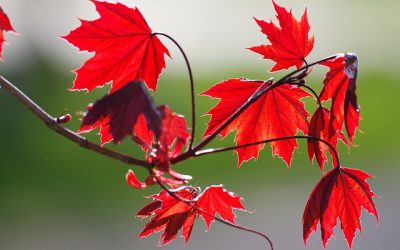 Un giorno d’autunno