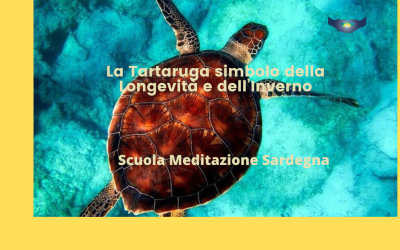 La Tartaruga: simbolo della Longevità e dell’Inverno