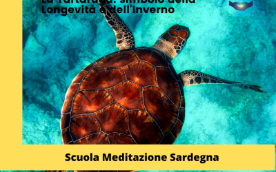 La Tartaruga: simbolo della Longevità e dell’Inverno